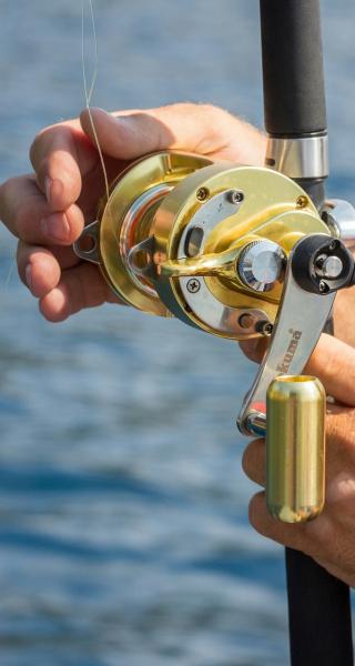 Fishing Papamoa Fishing Papamoa