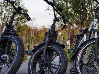 Mountain Biking & Cycling Papamoa Mountain Biking & Cycling Papamoa