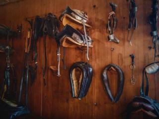 Equestrian Supplies Papamoa Equestrian Supplies Papamoa