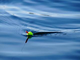 Fishing Supplies Papamoa Fishing Supplies Papamoa